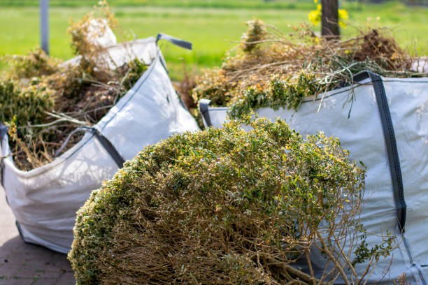 Best Construction Debris Removal  in Woodland Beach, MI